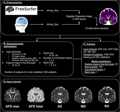 DORIS: A diffusion MRI-based 10 tissue class deep learning segmentation algorithm tailored to improve anatomically-constrained tractography